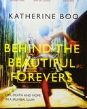 behind the beautiful forevers