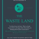 the wasteland book cover