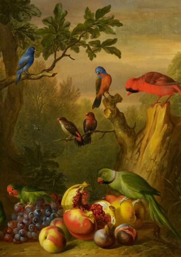 Painting of brightly coloured birds and fruit