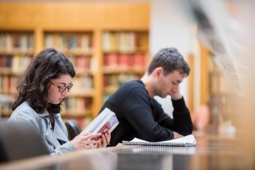 Students working in the library